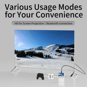 ANBERNIC RG40XXV & RG35XX Plus Retro Handheld Game Console 640*480 IPS Screen Linux 64-bit 5000Games Support WIFI,Bluetooth,HDMI - Thumbnail Image 5